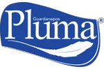 Logo-Pluma